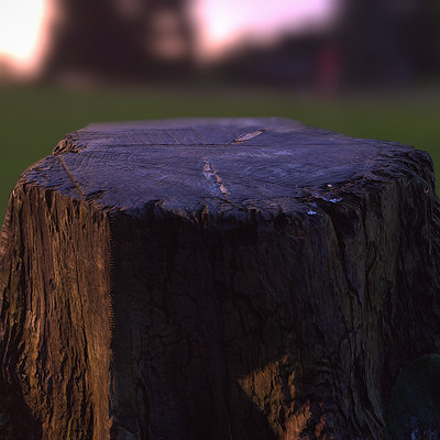 Pete mc nally petemcnally treestump image04