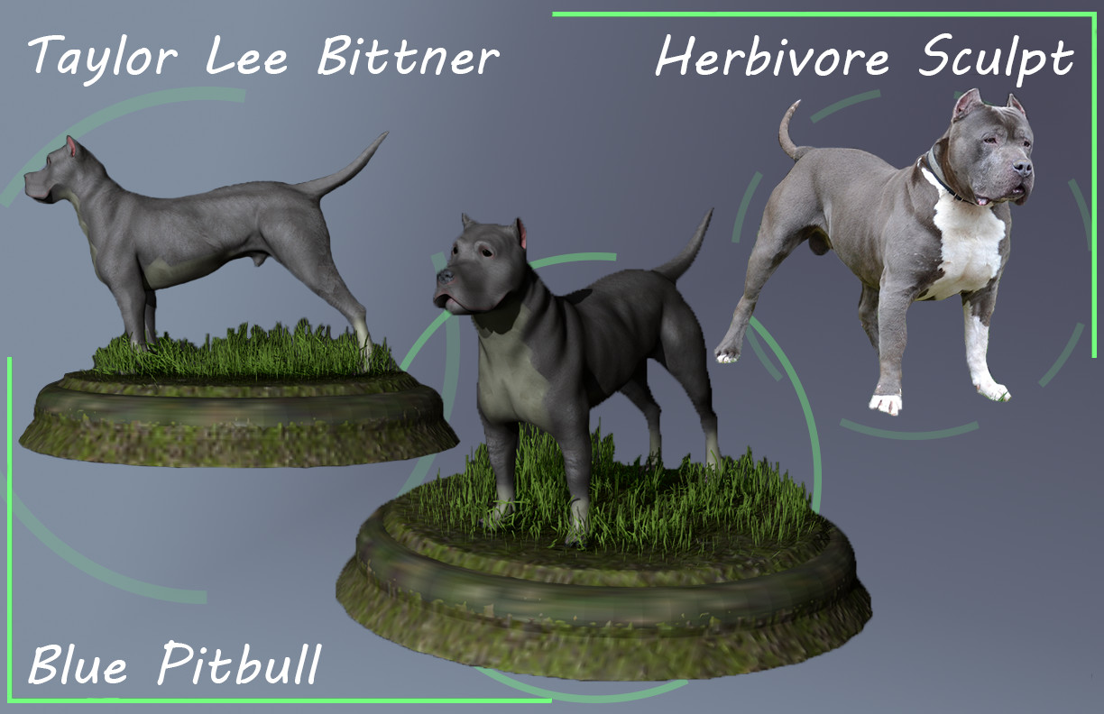 blue pitbull taylor lee bittner