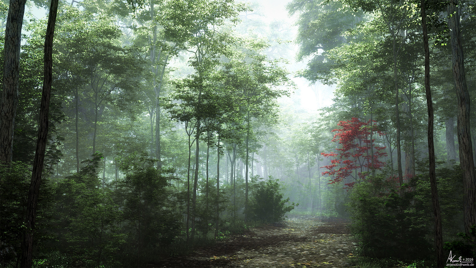 Пасмурный лес