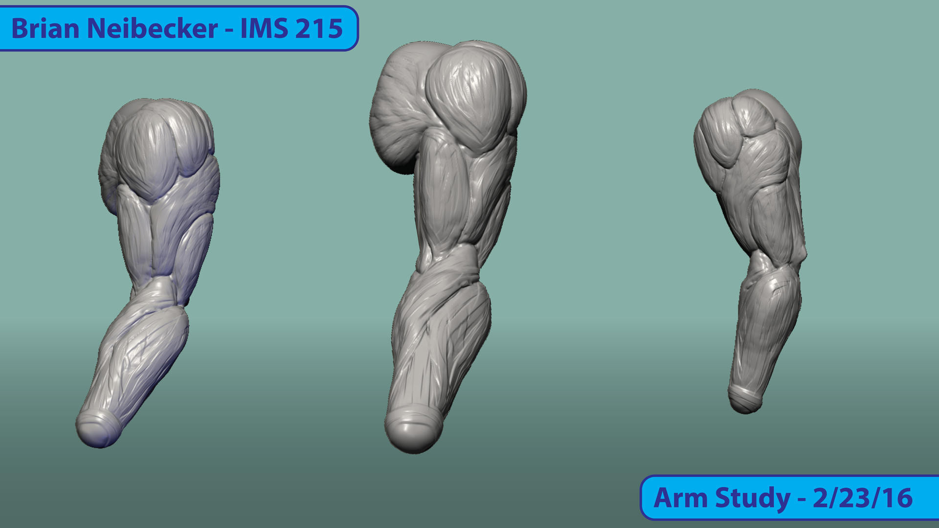ArtStation Arm Study