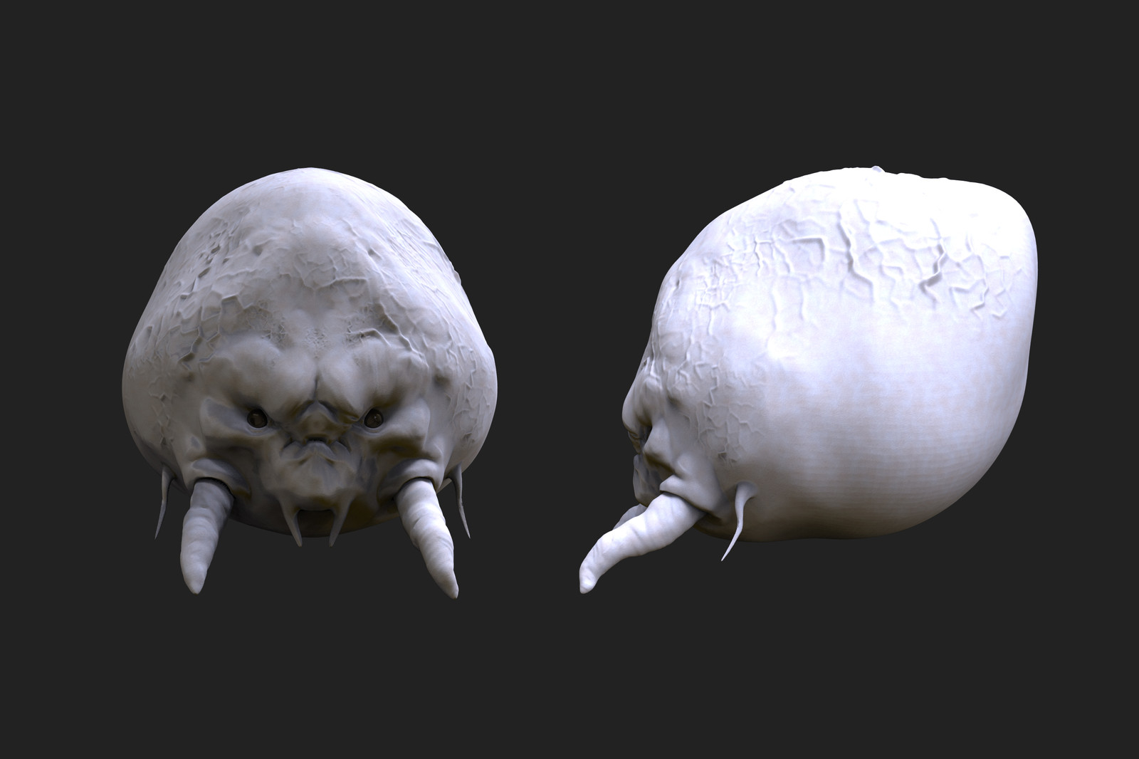 3D model