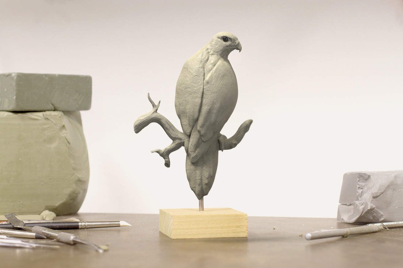 Clay Falcon