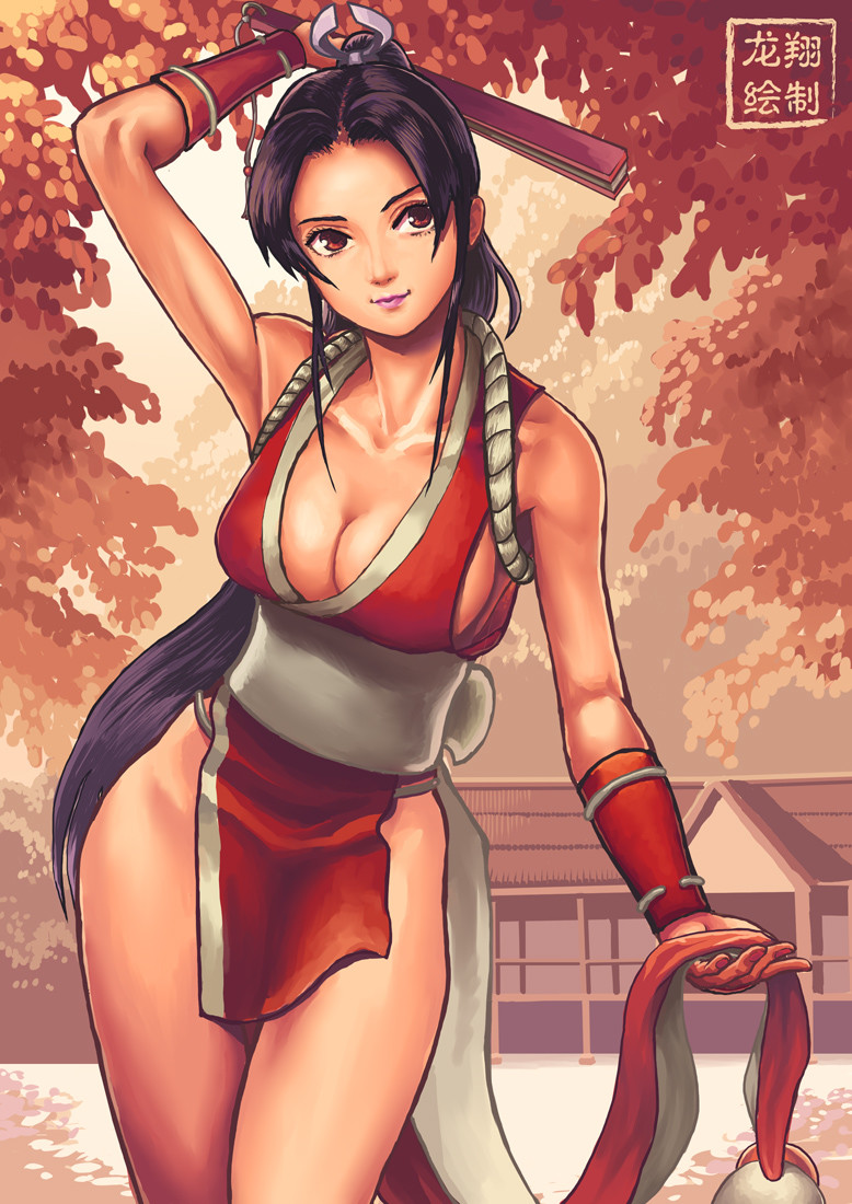 lung-hsiang-tai-mai-shiranui-by-shinryus