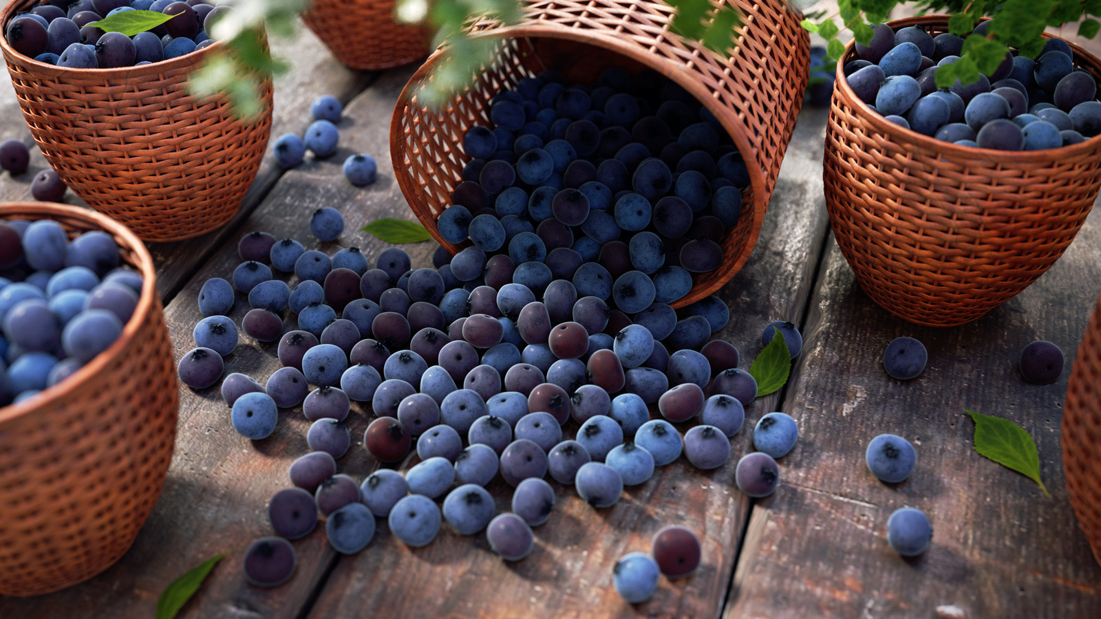 Bilberry