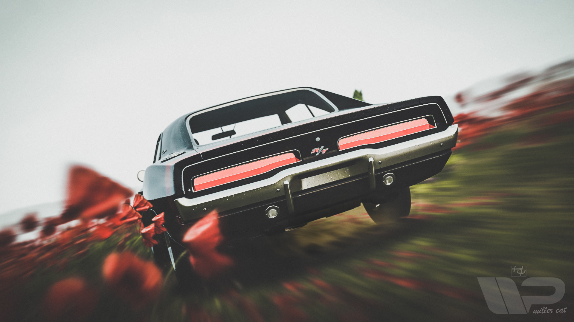 Dodge Charger R/T 69.