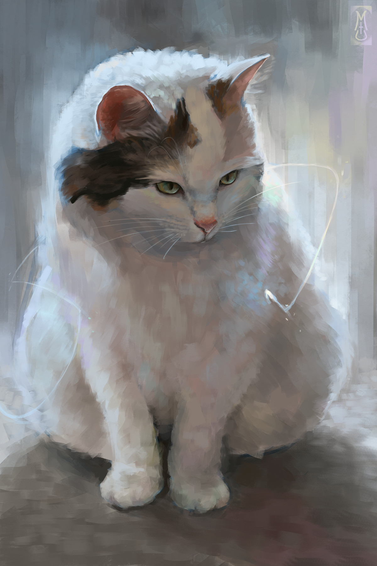 Maxwell cat картинка