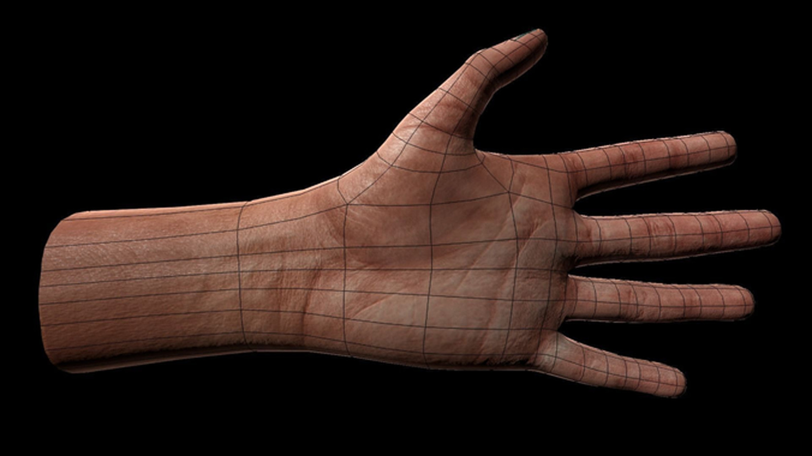 Here e 3. Модель руки. Рука 3д модель. Ладонь 3д. Кисть 3d модель.