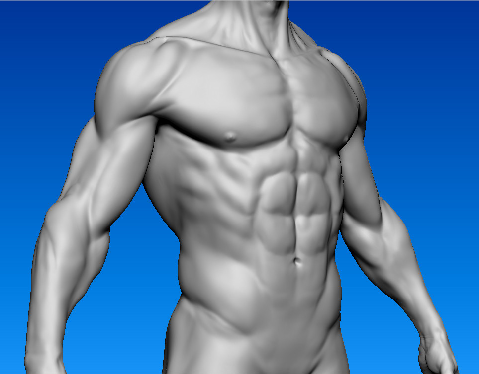 Artstation Male Anatomy Stylized