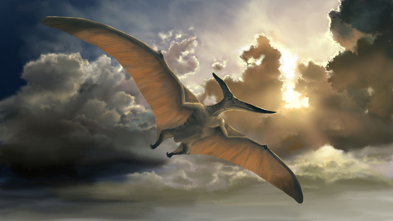 Птиродактель. Птерозавры Юрского периода. Динозавры летающие птеродактиль. Птеранодон динозавр. Птеранодон размах крыльев.