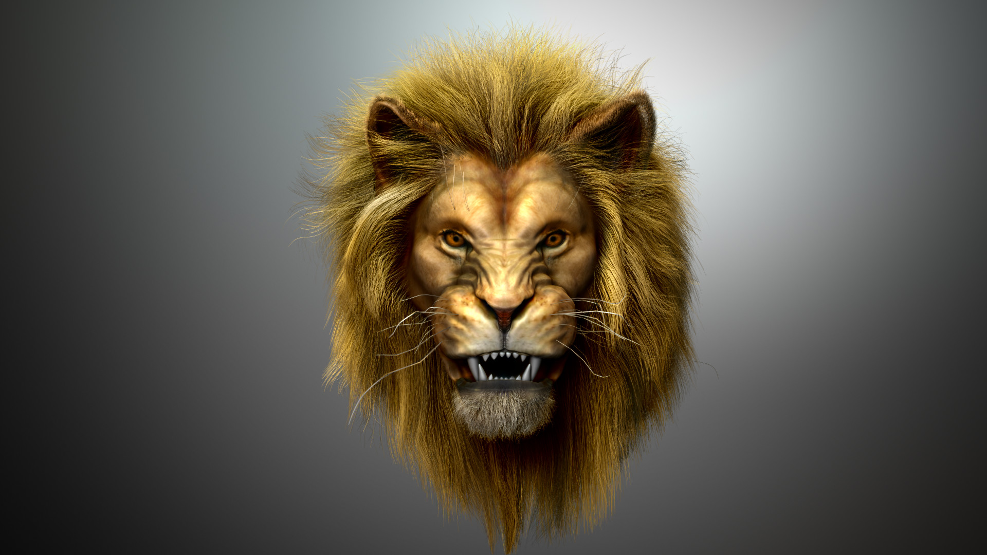 Лев без головы. Голова Льва. Голова Льва картинка. Злой Лев. Голова Льва арт.