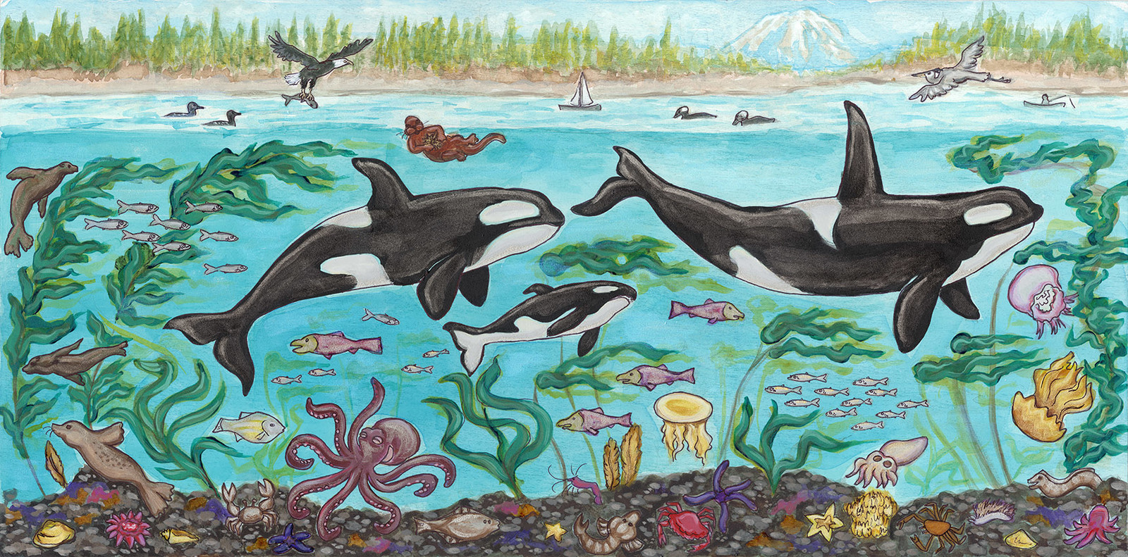 Orcas under Puget Sound