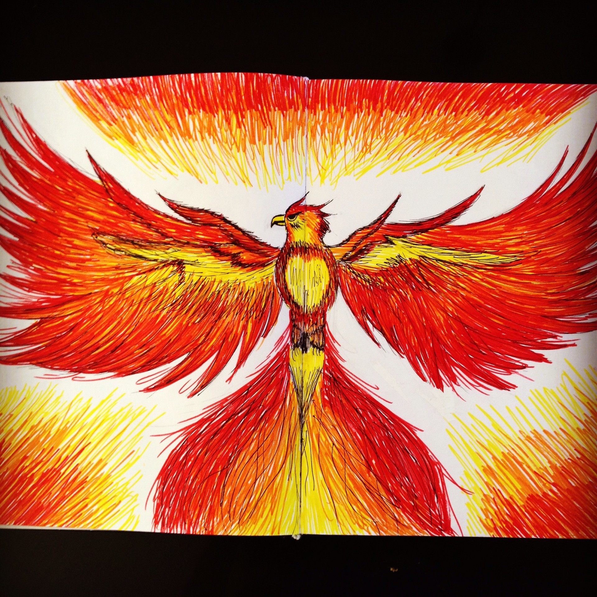 ArtStation - Griffin Marker drawing