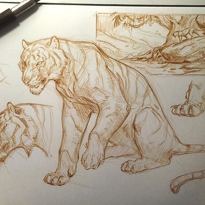 Jonathan kuo fullsizerender