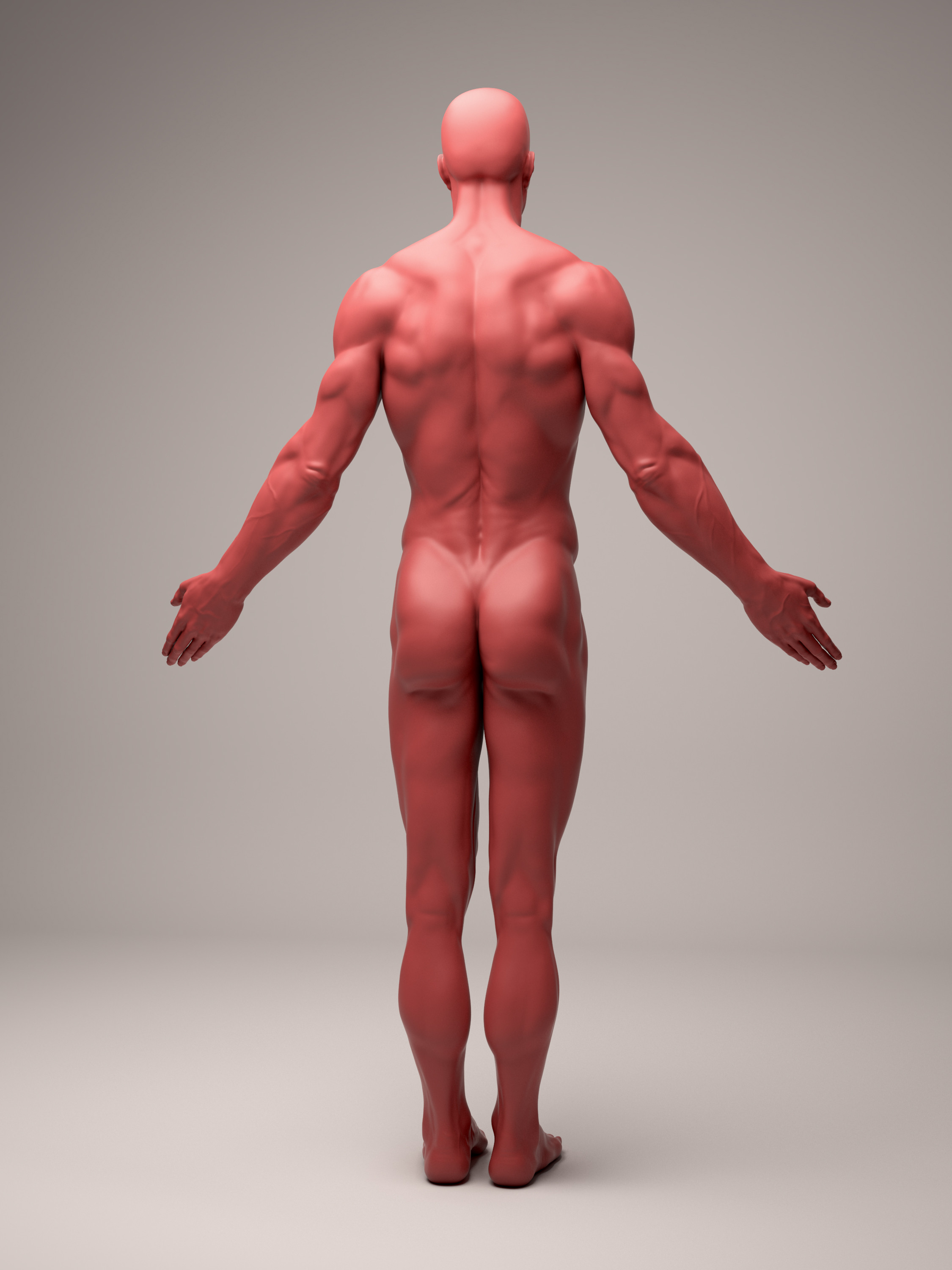 Vray Clay Render