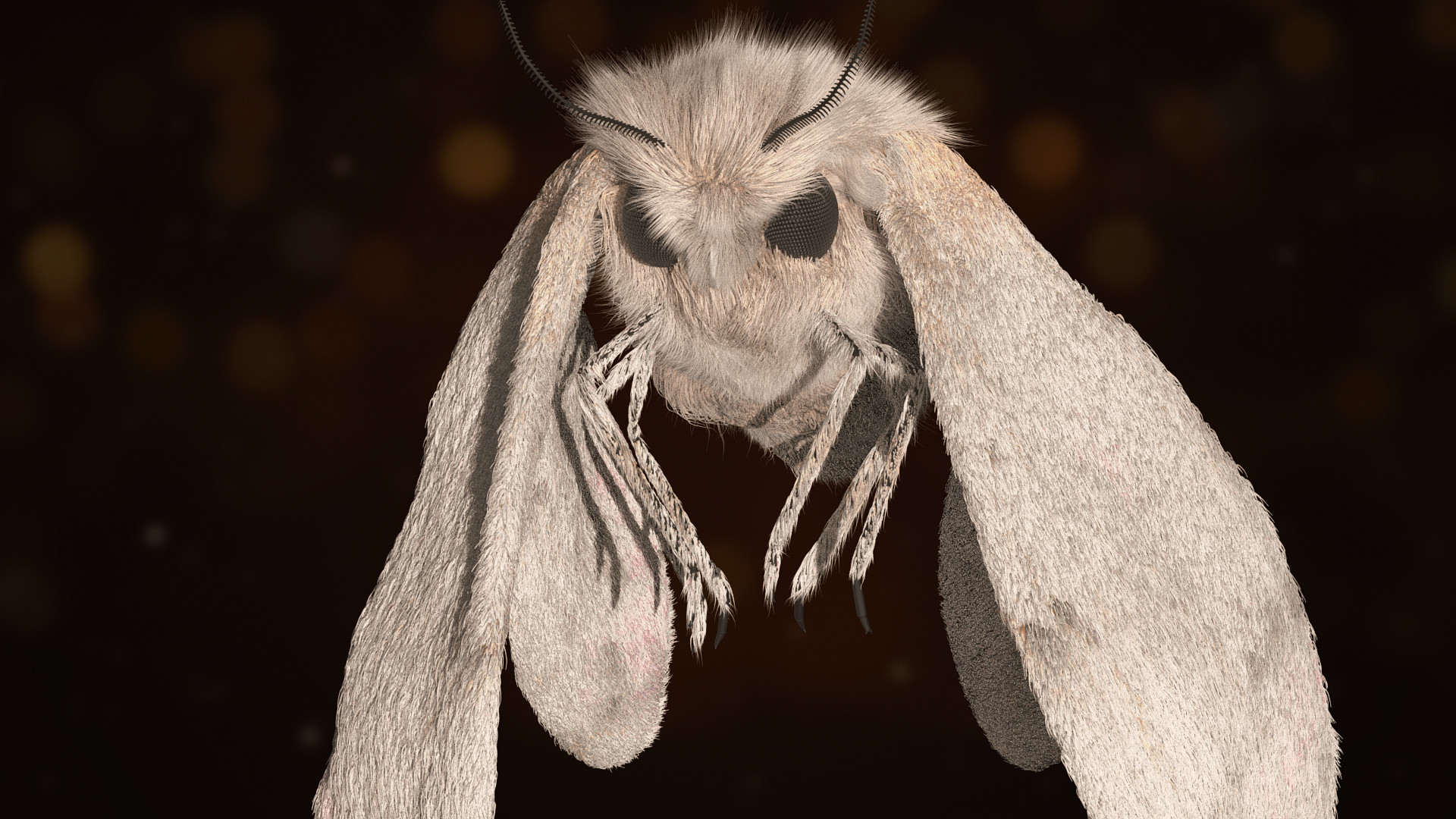 Mg моль. Moth Vtuber. Мотылек Moth Art. Венесуэльский пуделевый мотылек тутовый шелкопряд. Мотылёк шелкопряд.