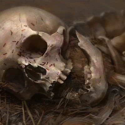 Erikas perl human skull447