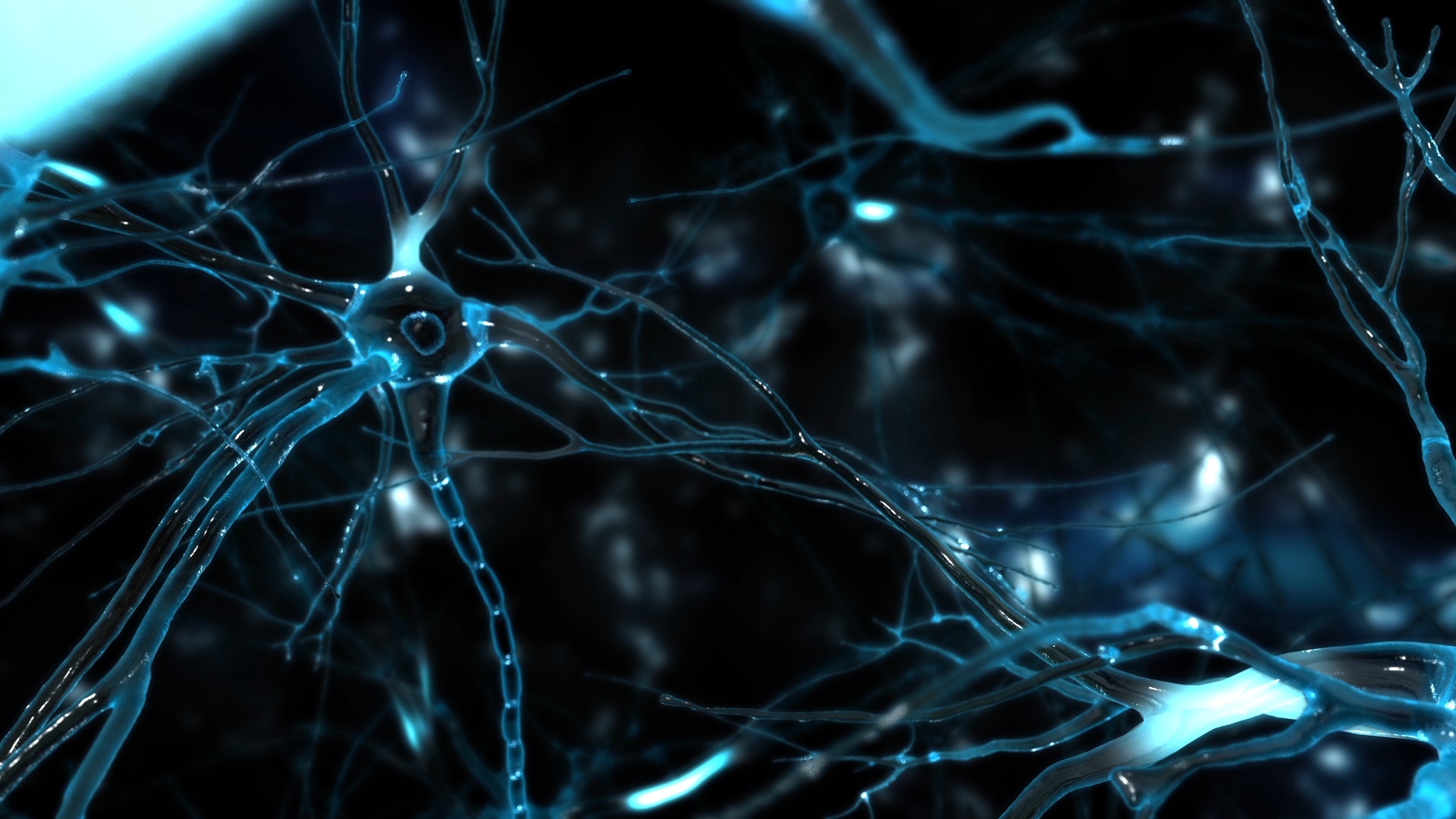 Neurons