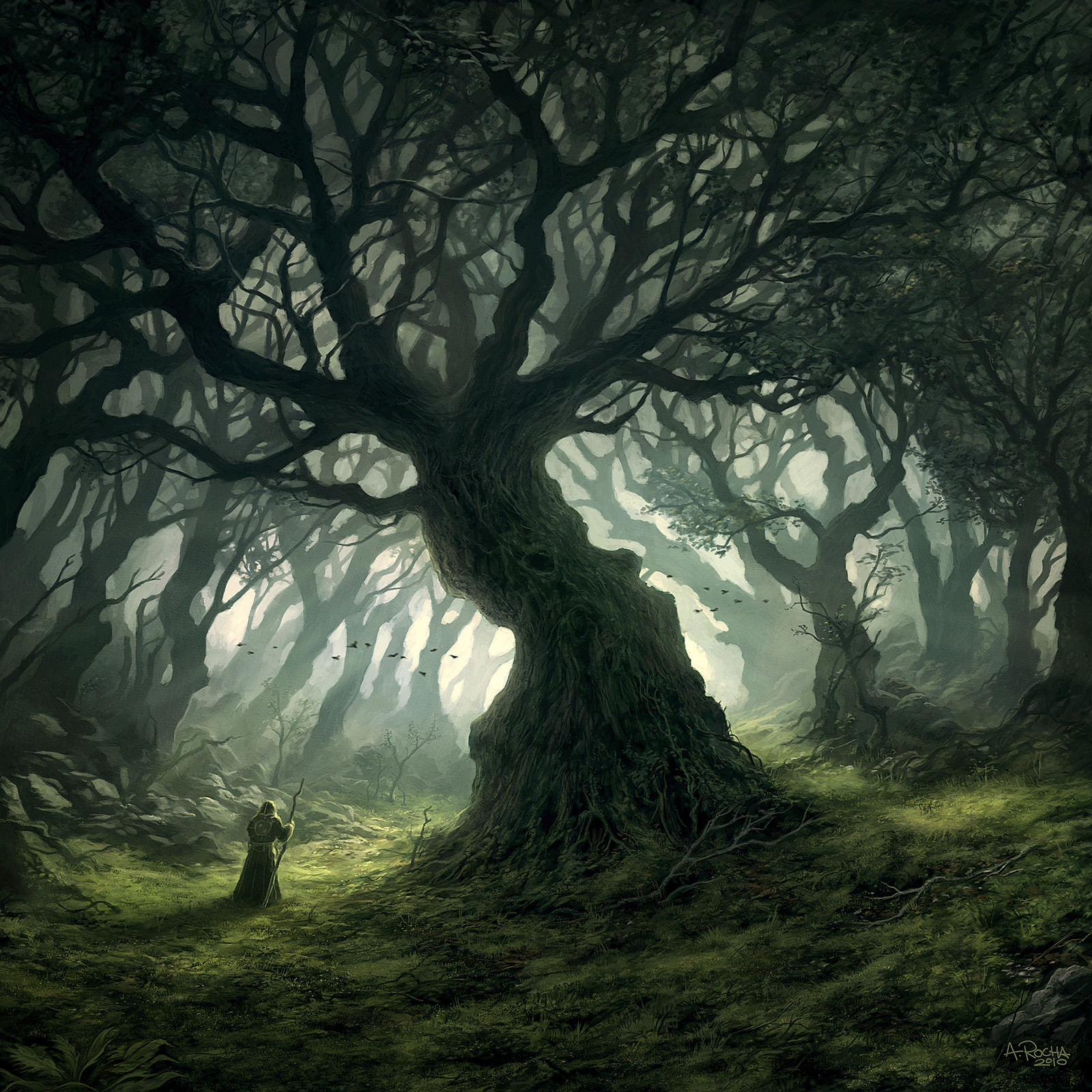 Дуб живое существо. Шервудский лес Хоббит. Лихолесье Властелин колец. Мрачное дерево. Мистические пейзажи.