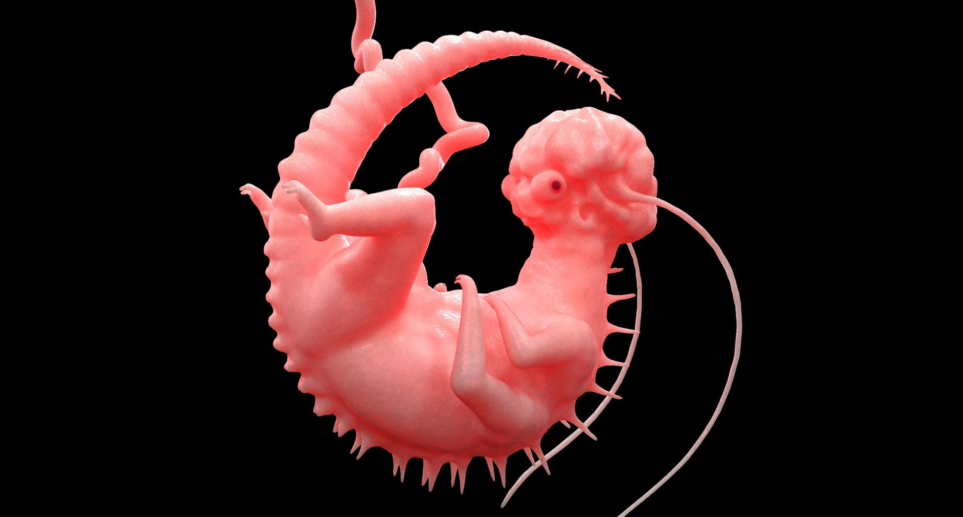 ArtStation Alien Fetus WIP