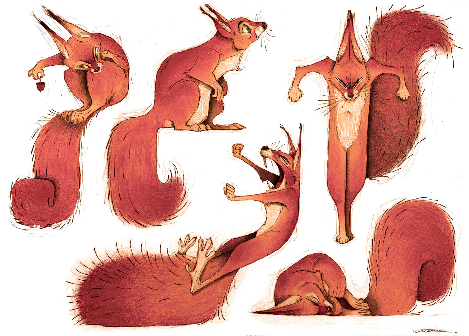 Artstation Squirrel Thibault Leclercq