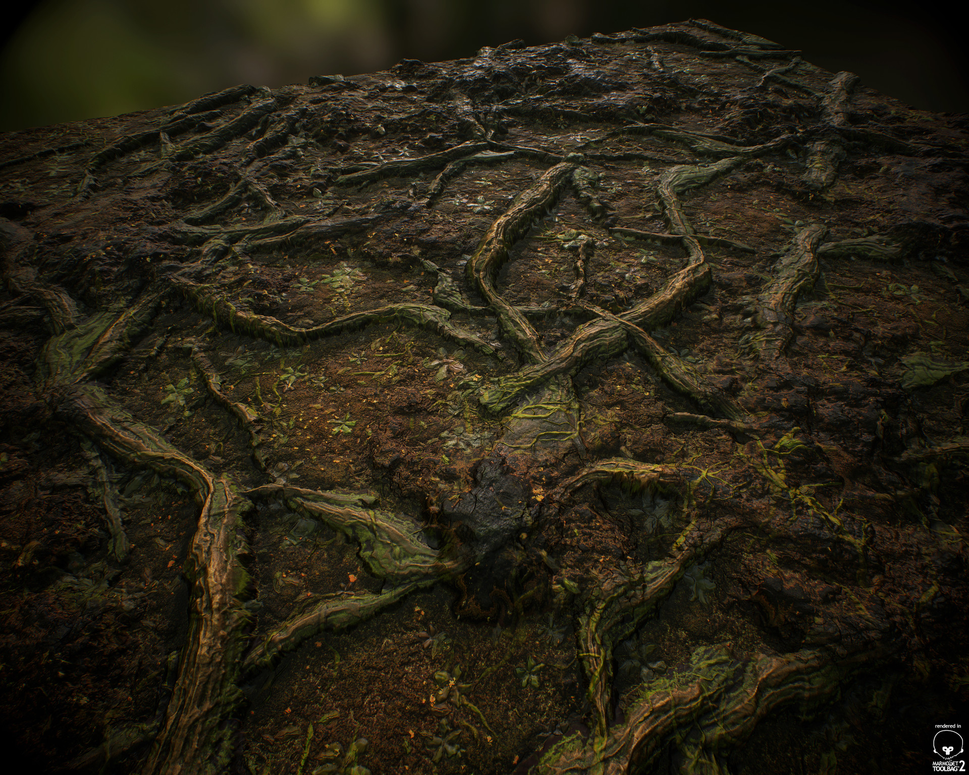 Root texture. Корни текстура. Корни дерева. Корень дерева текстура. Текстура земли с корнями.