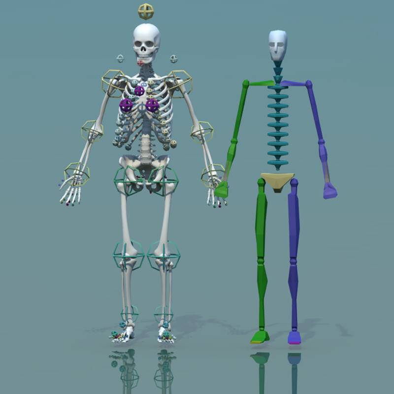 3d models skeleton. Biped скелет. Скелет 3в моделирование. Скелет персонажа 3d Max. Скелет человека 3d.