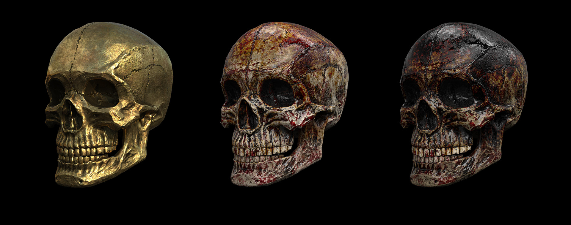 Trigonumvr Interactive 3d Graphics Skull 2 Evil Forest Tech