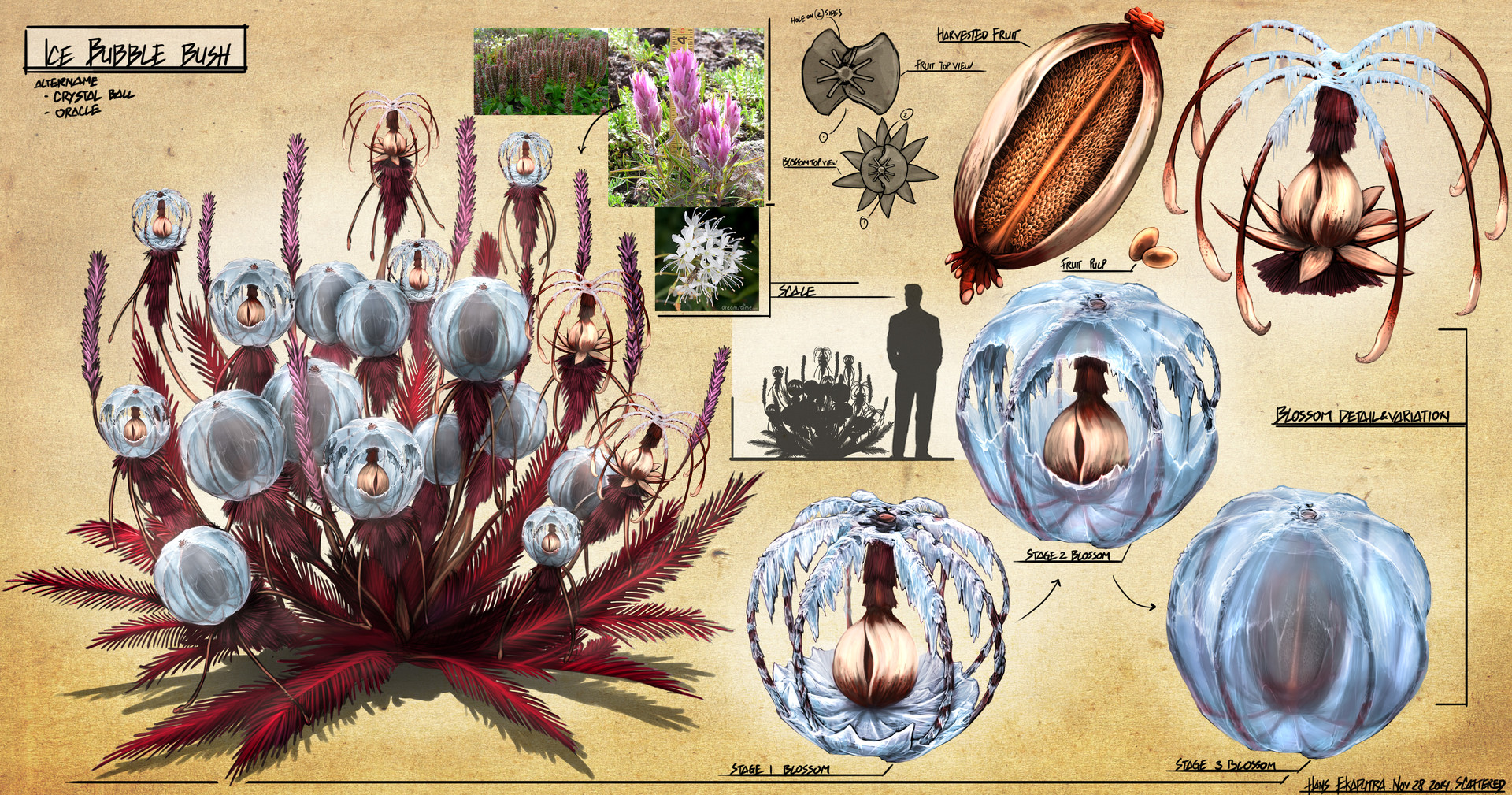 hans-ekaputra-grimmodds-plants-temperatecontinent-icebubblebush.jpg