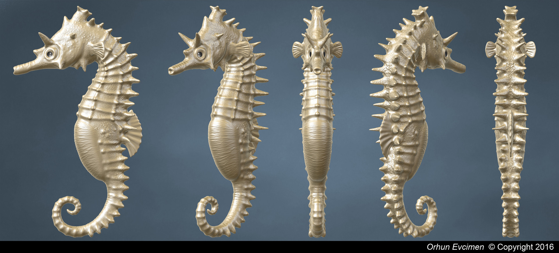 Artstation Zbrush Sea Horse 3d Model Orhun Evcimen