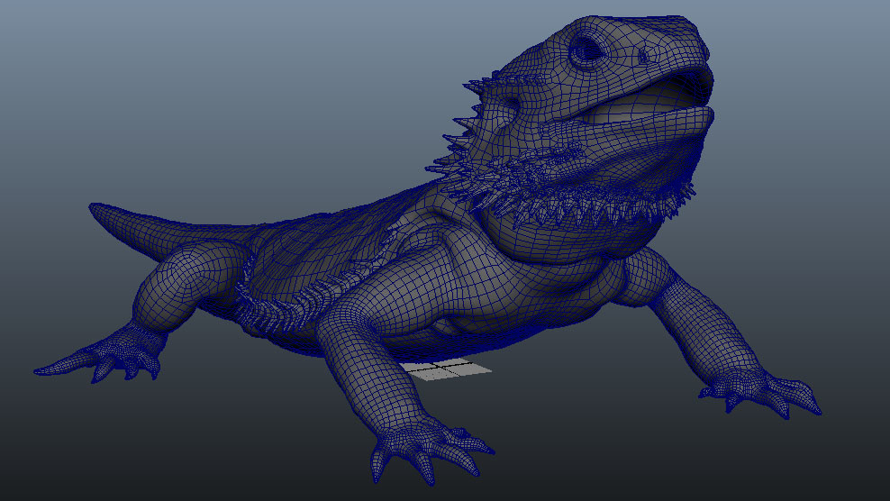 Artstation Bearded Dragon 3d Model Elliott Holland Crouch