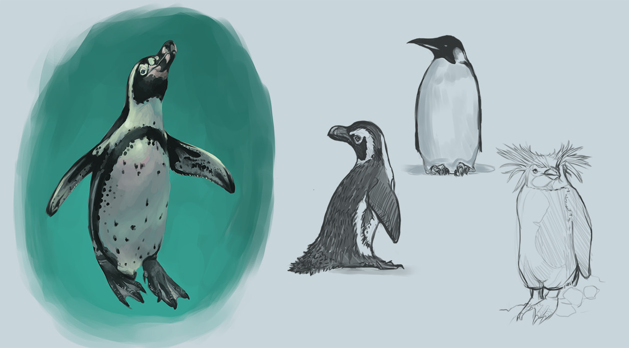 ArtStation - Animal Studies 01: Penguins and Whales