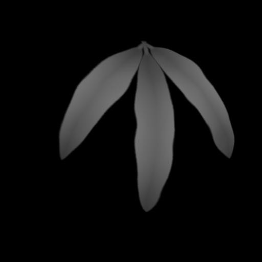 Leaf A Height