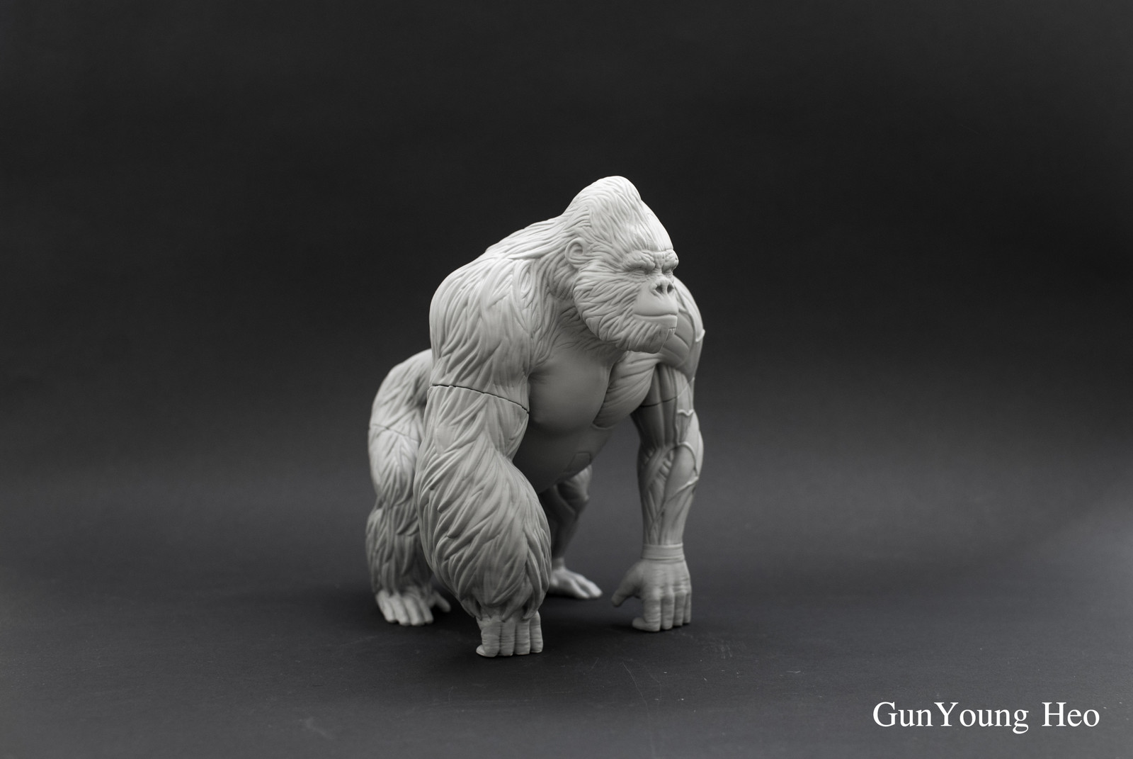 kunyoung heo - Gorilla Anatomy & 3D PRINT object