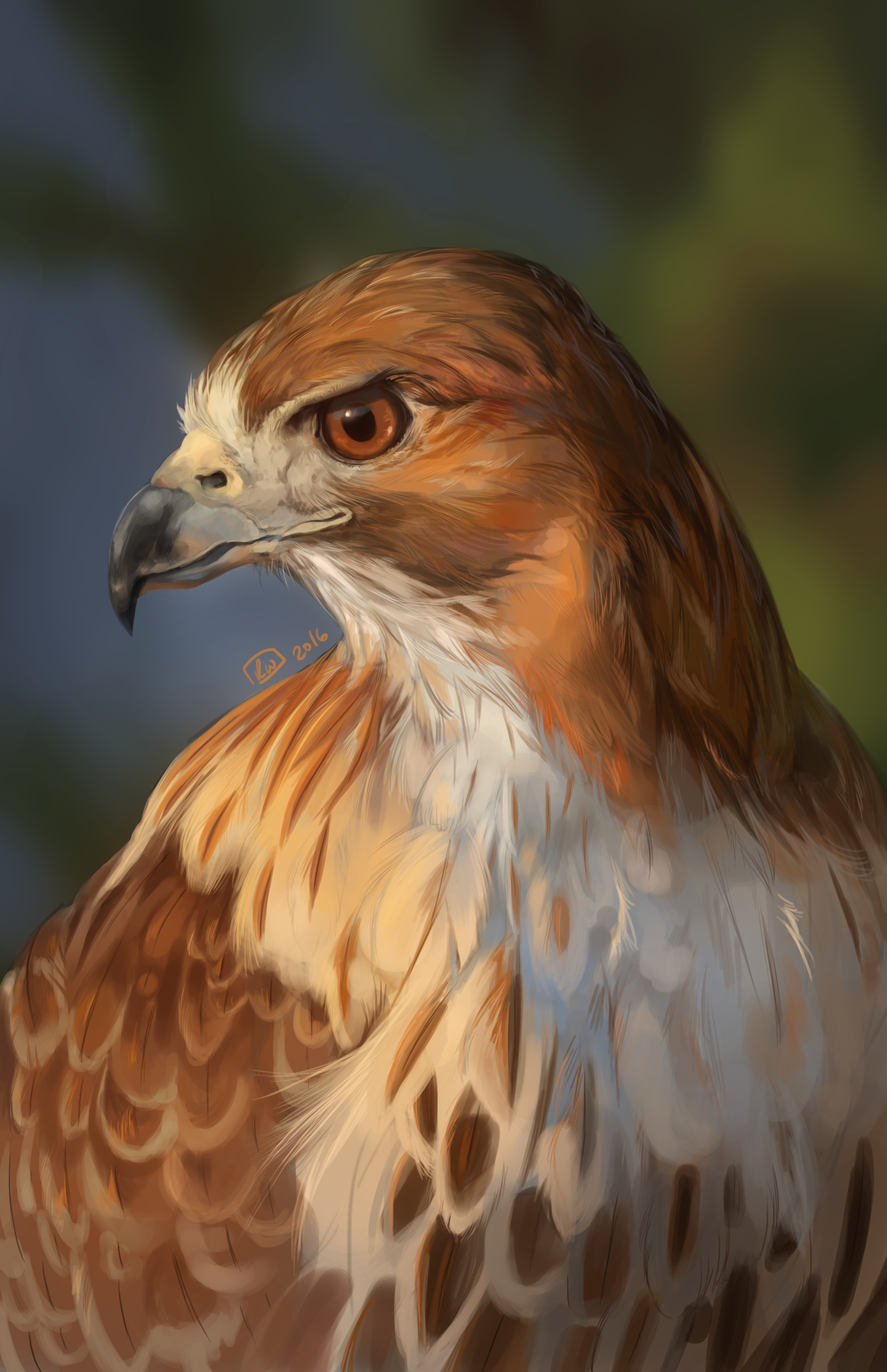 ArtStation - Red-Tailed Hawk Feathers Texture Pack + IMM