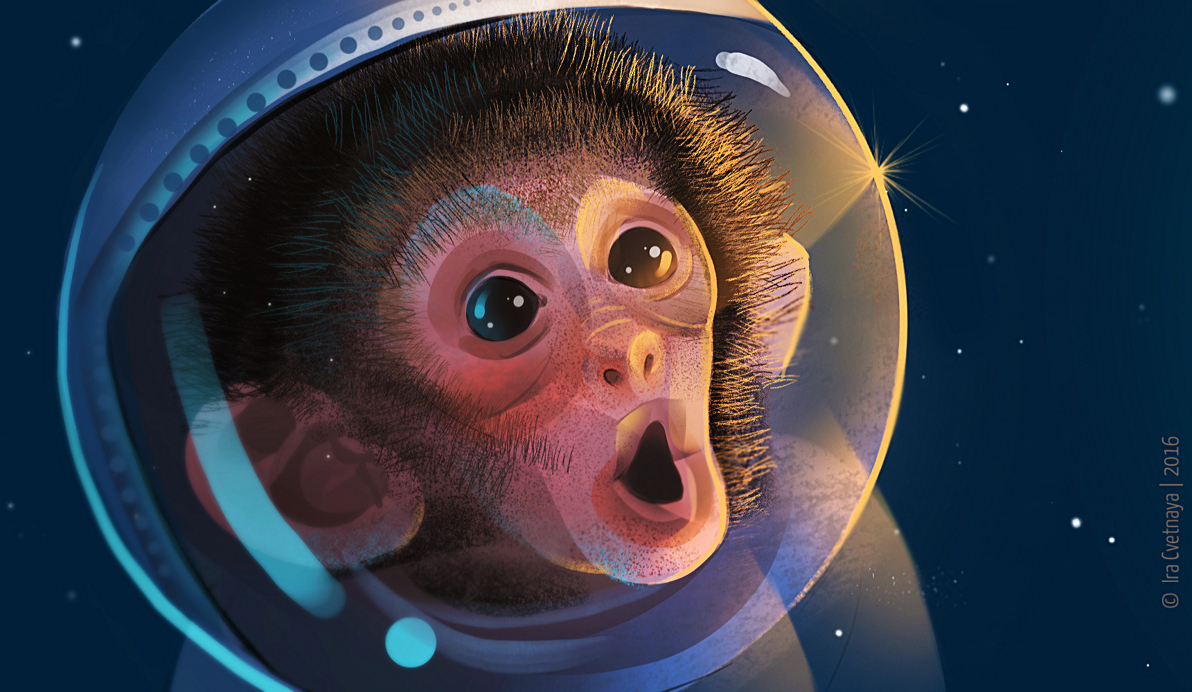 ArtStation - Space monkey