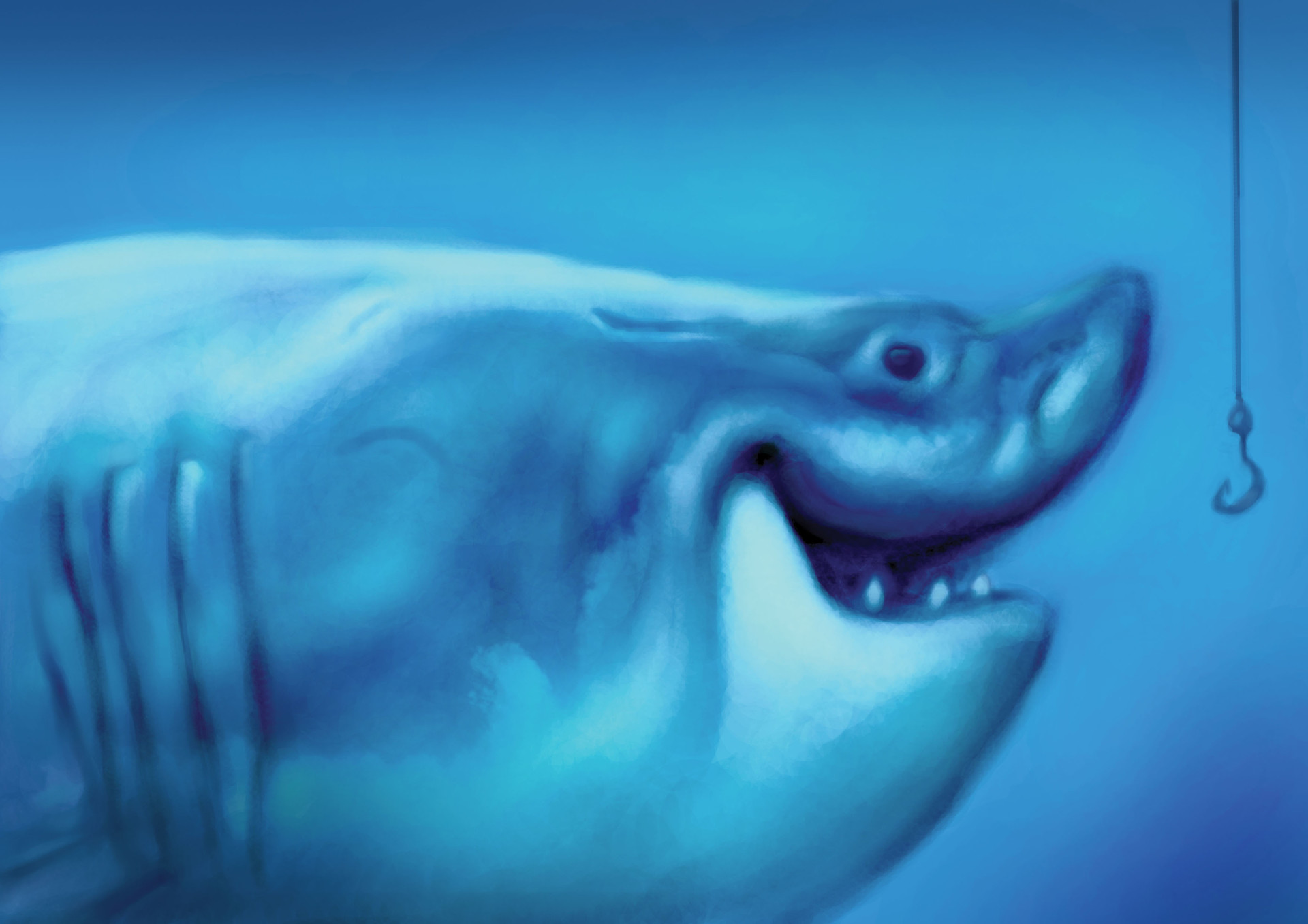 Artstation Cute Shark Arash Rod