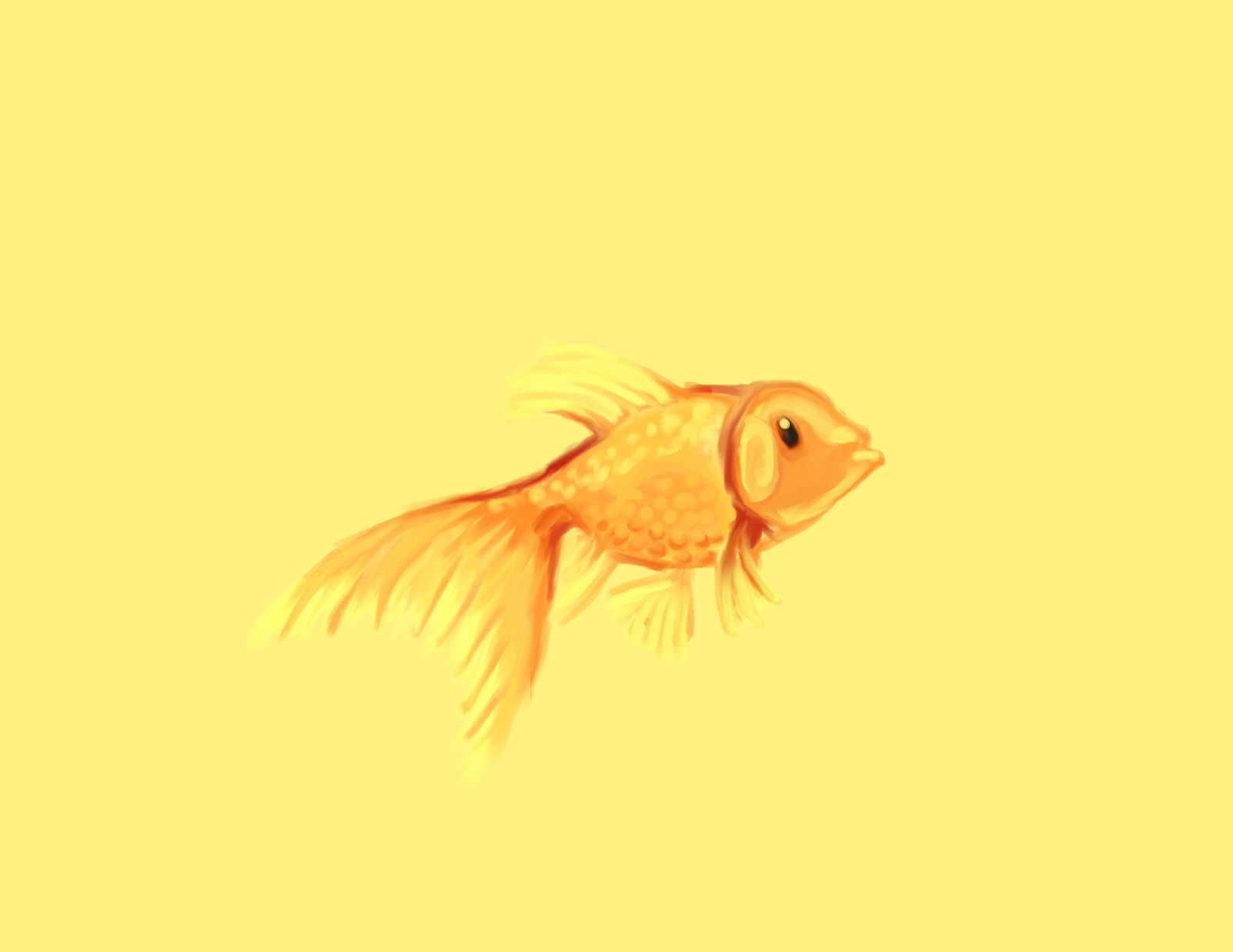 Goldfish