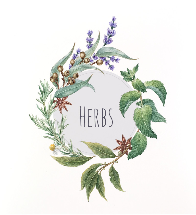 ArtStation - Herbs