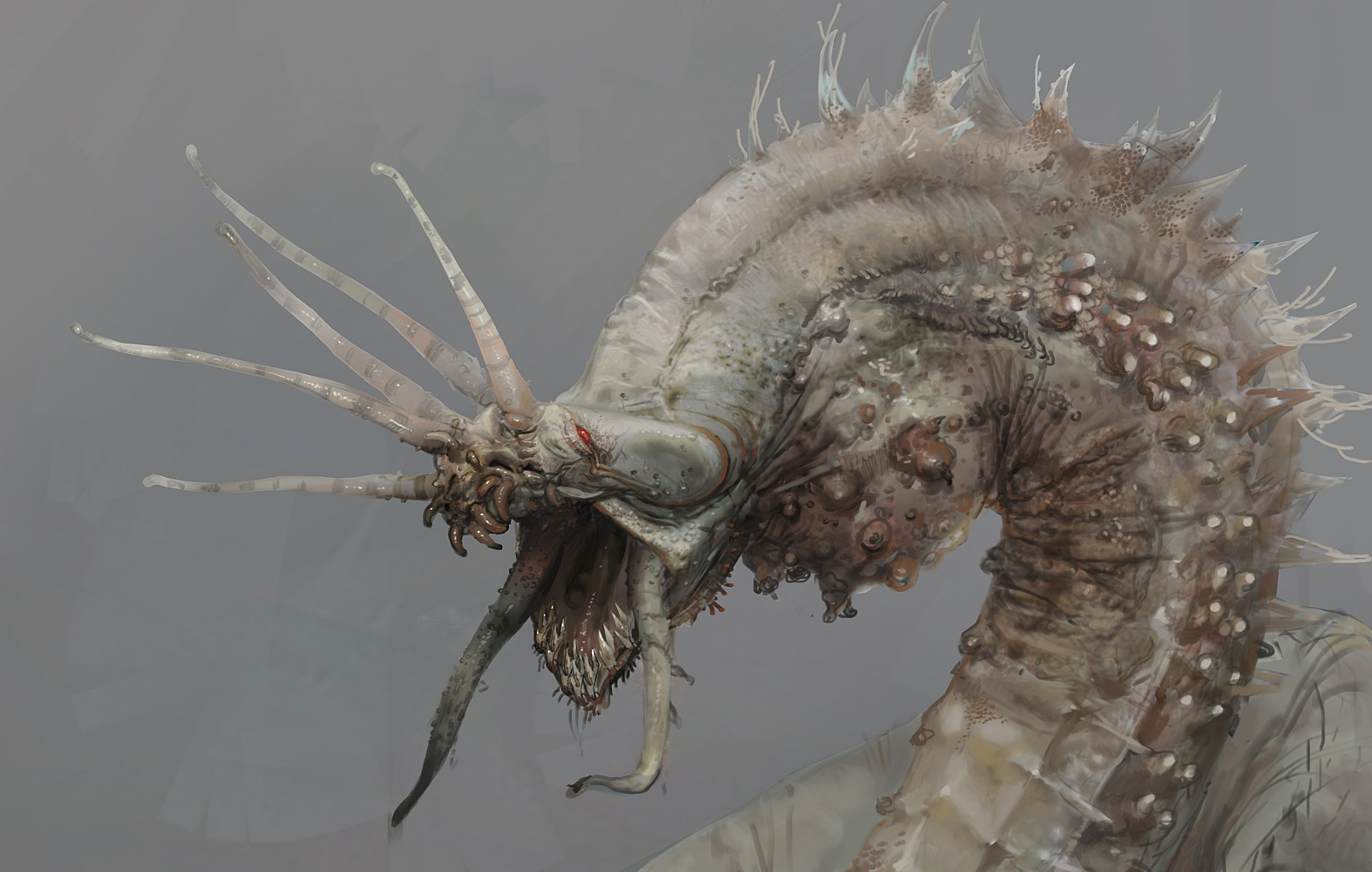 Monster Shecock