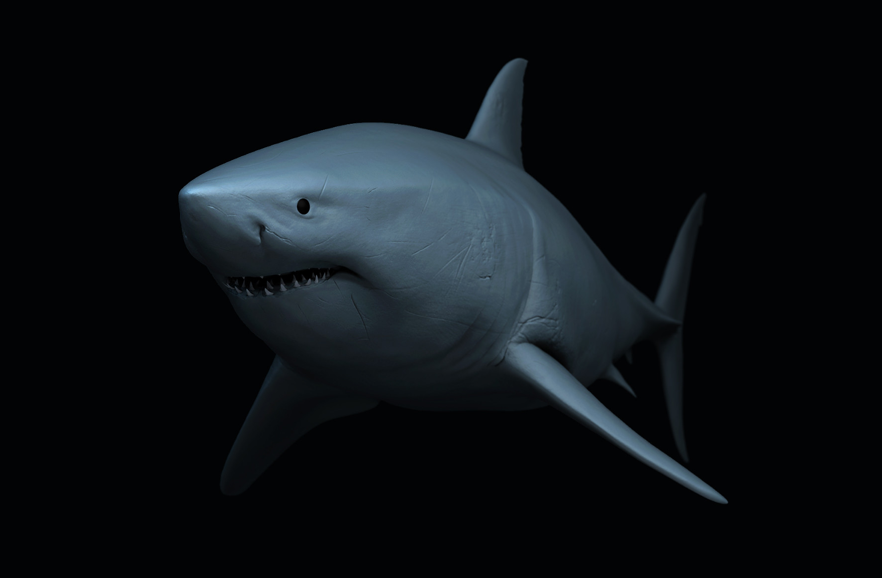 Great white Shark - Finished Projects - Blender Artists Community