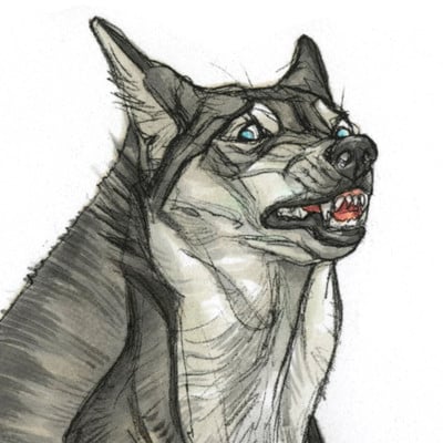 Terryl whitlatch carpathian werewolves