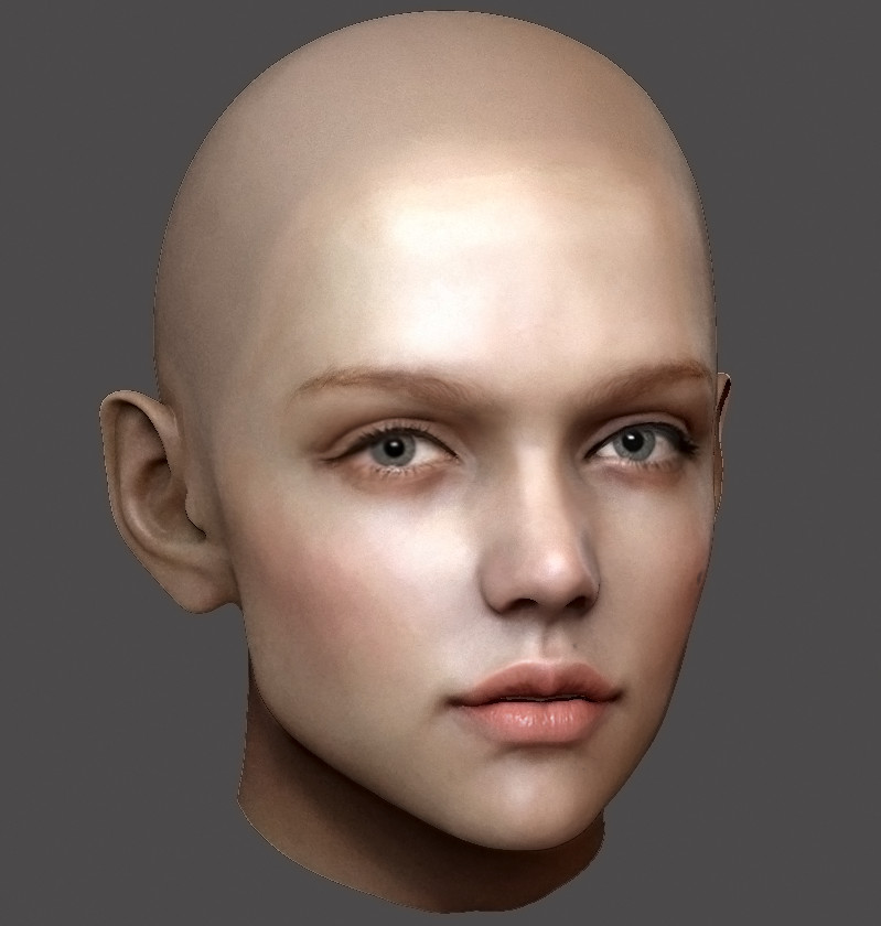 Зд лица. Голова человека. Модель головы женщины. Человеческая голова женская. Модель лица человека.