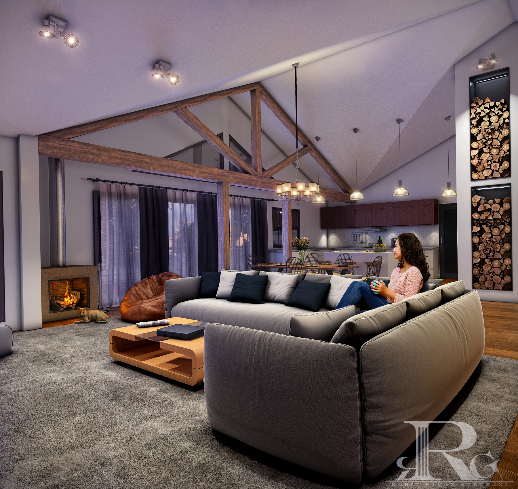 Modern barn living shop room