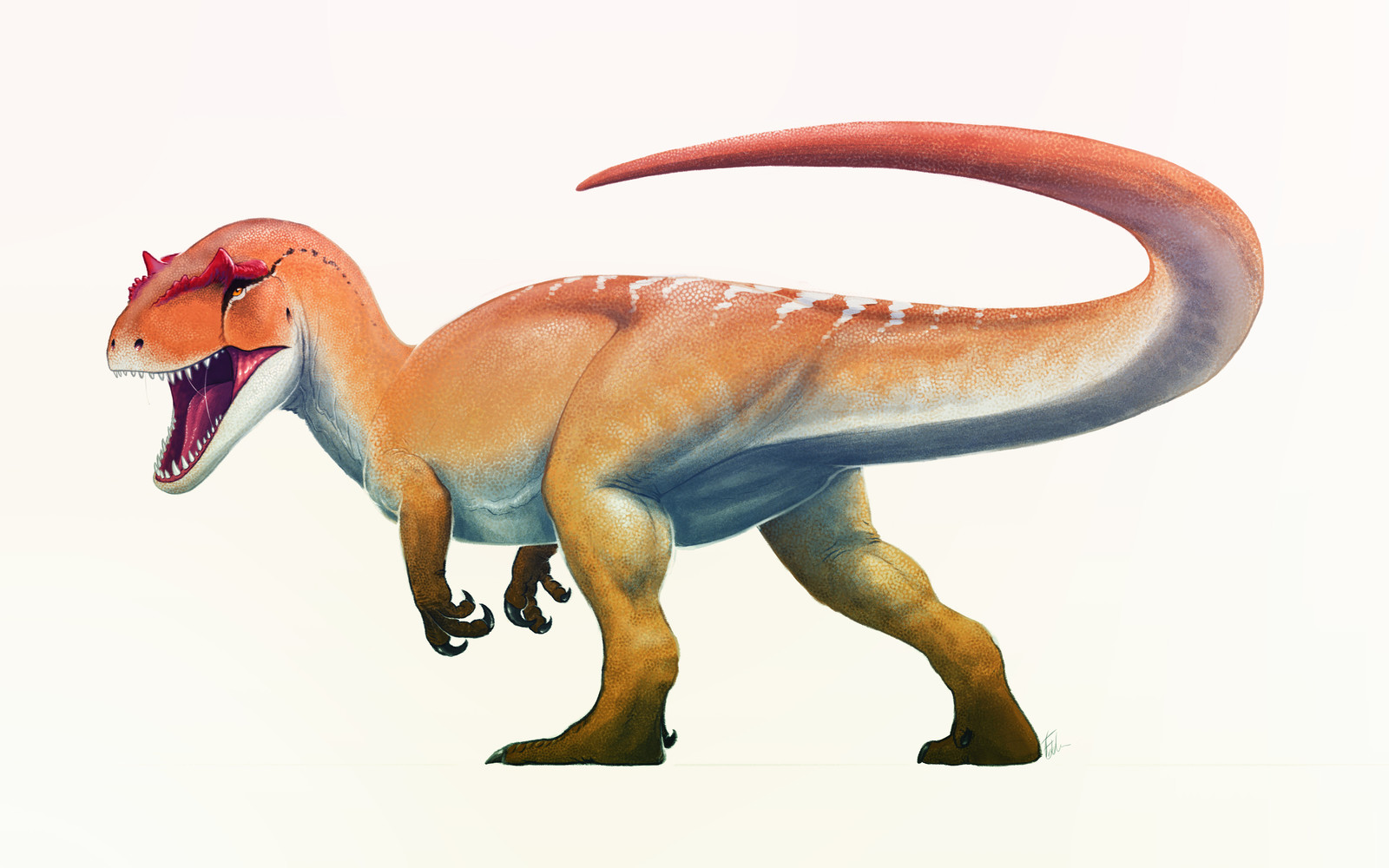 the allosaurus