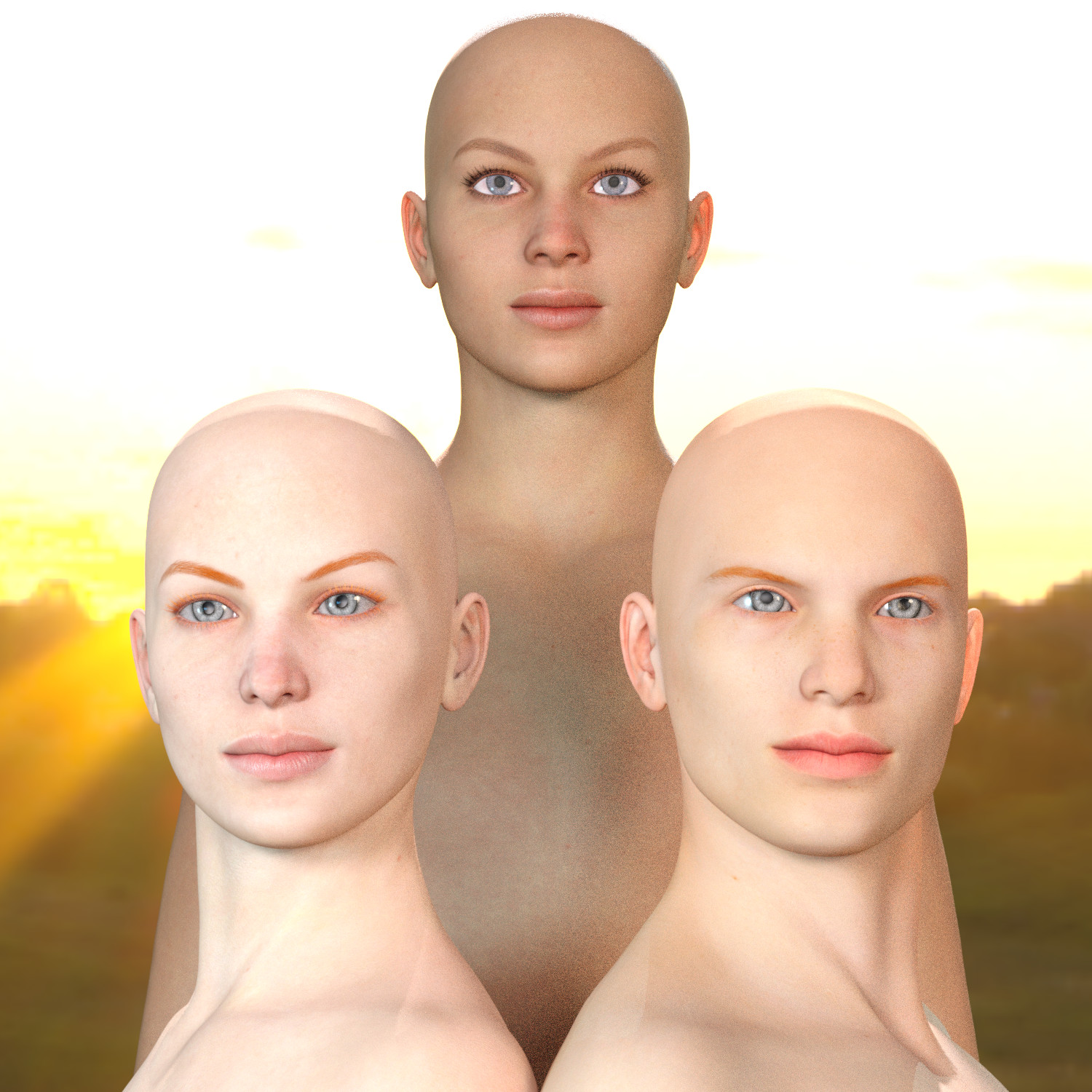 Head Sculpts
