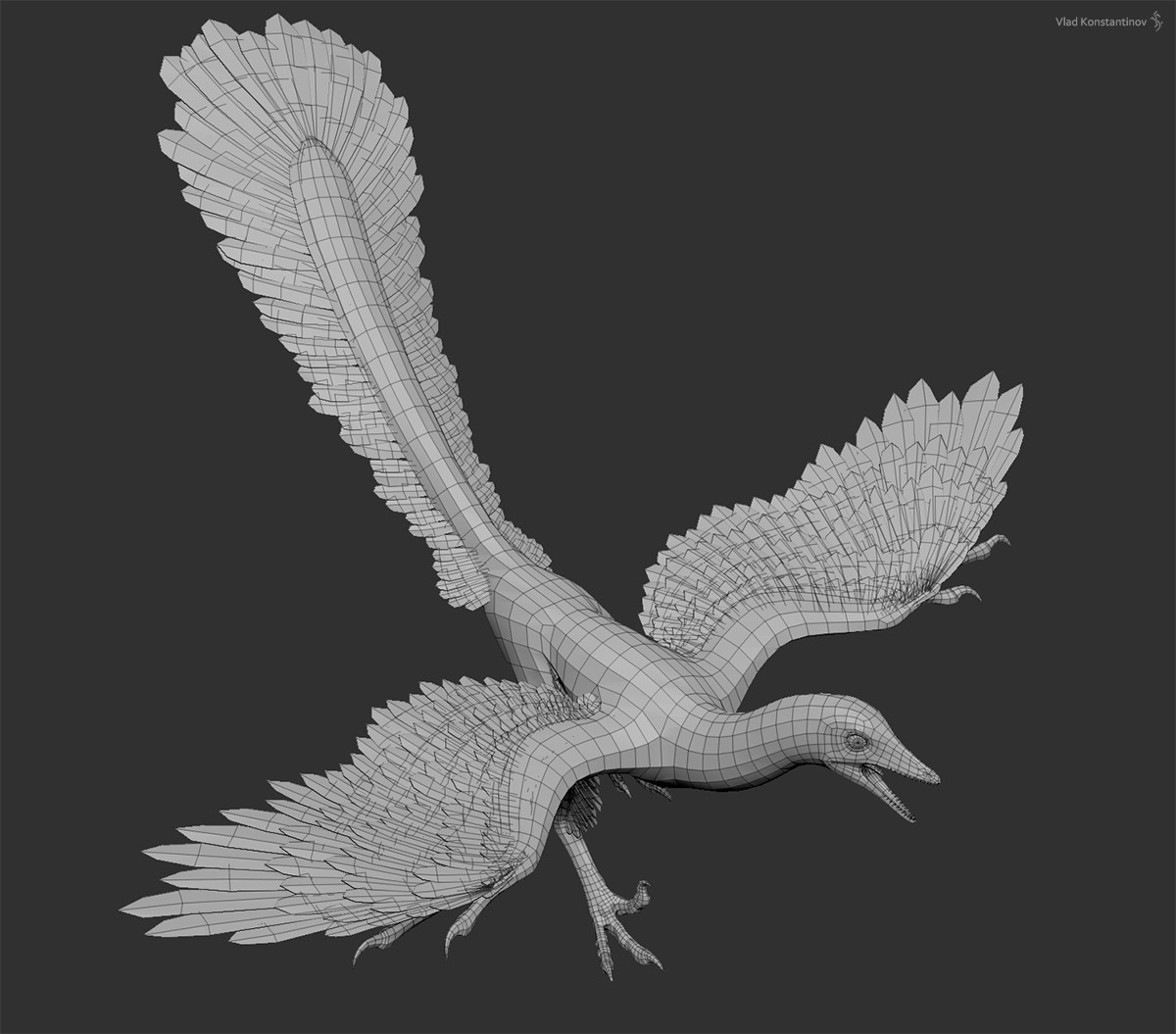 Vlad Konstantinov - Archaeopteryx