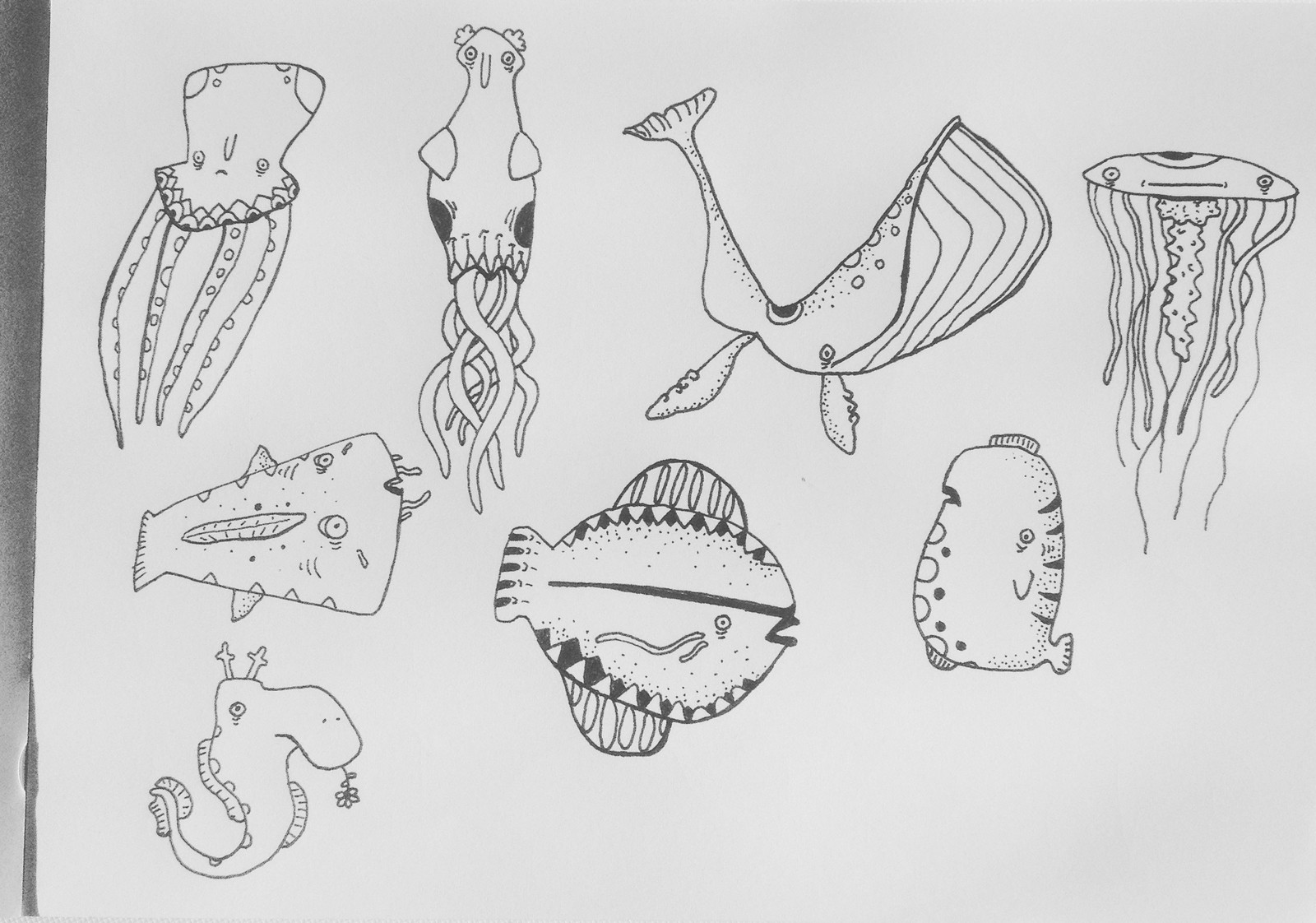 Sketch 4
