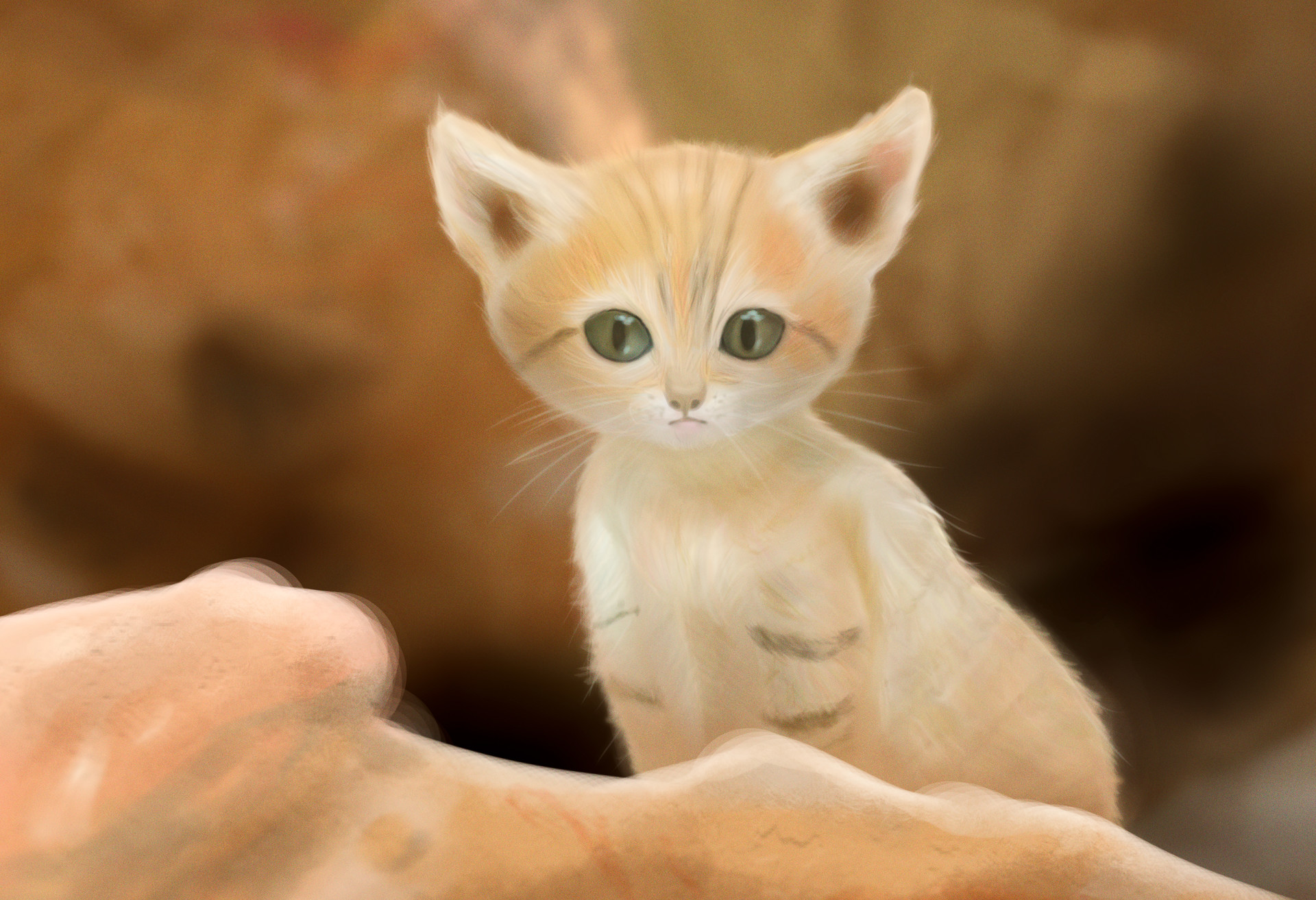 Sand Cat For Sale Canada