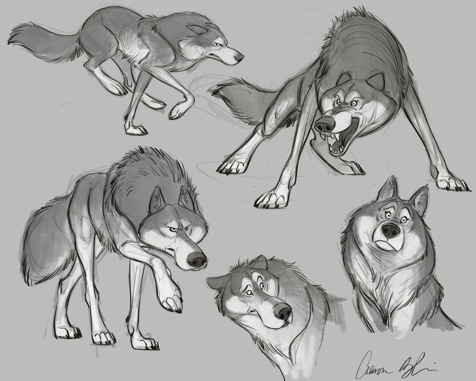 Artstation Wolf Designs Peter The Wolf Aaron Blaise