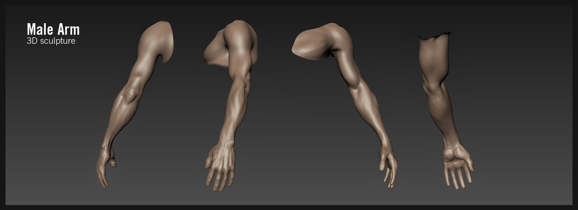 Arm texture. Male Arm.